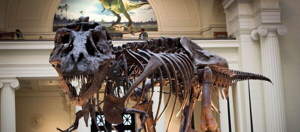 Dinosaure (image d'illustration) - Sputnik Afrique