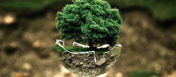 Écologie - Sputnik Afrique