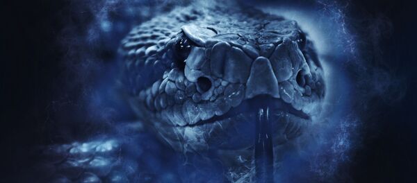 Un serpent - Sputnik Afrique