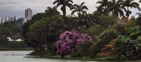 Lac artificiel de Pampulha, à Belo Horizonte Lac artificiel de Pampulha, à Belo Horizonte - Sputnik Afrique