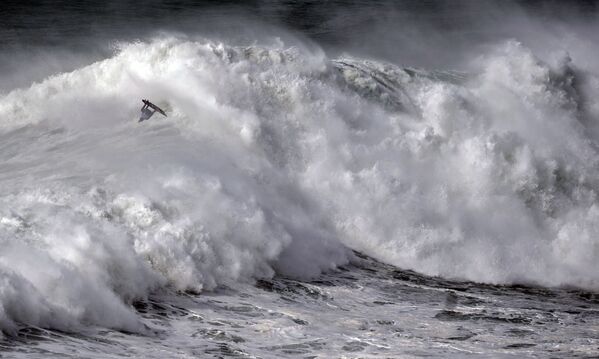 Du surf sur les vagues gigantesques au Portugal
 - Sputnik Afrique