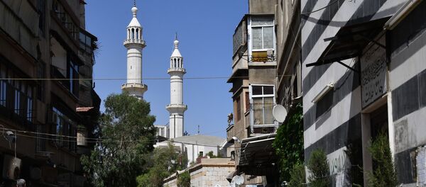 Damas - Sputnik Afrique