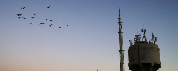 Damas - Sputnik Afrique