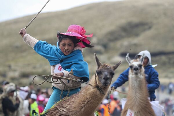 Une participante aux courses de lamas au parc national Llanganates en Équateur. - Sputnik Afrique