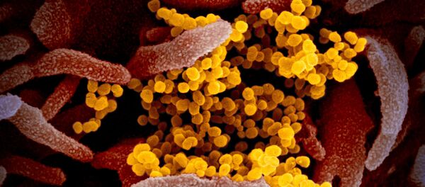 Coronavirus SARS-CoV-2 - Sputnik Afrique