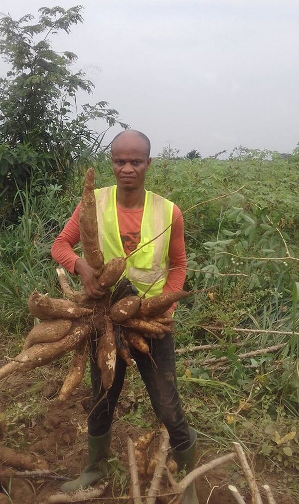 Martin Ozoukou, le prolifique inventeur agricole ivoirien oublié des siens - Sputnik Afrique