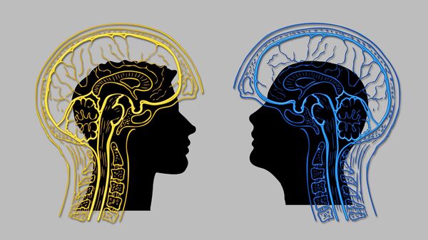 Cerveau - Sputnik Afrique