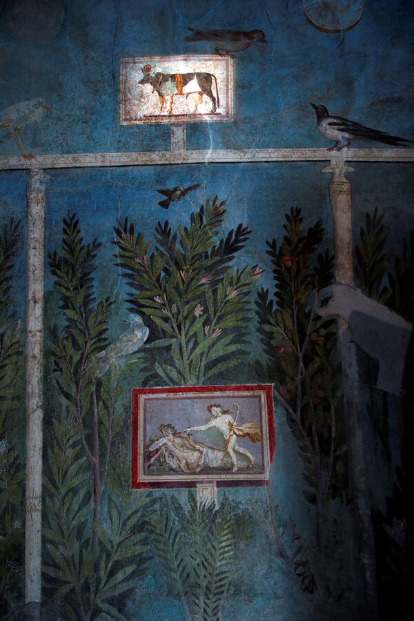 Luxe d’antan: des fresques uniques à admirer dans des villas de Pompéi ouvertes à la visite
 - Sputnik Afrique