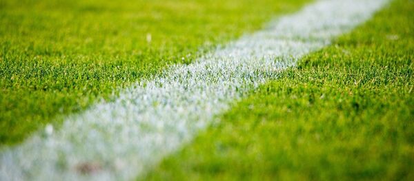 Pelouse - Sputnik Afrique