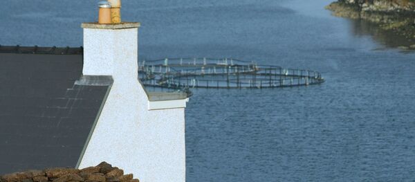 Un centre de pisciculture - Sputnik Afrique