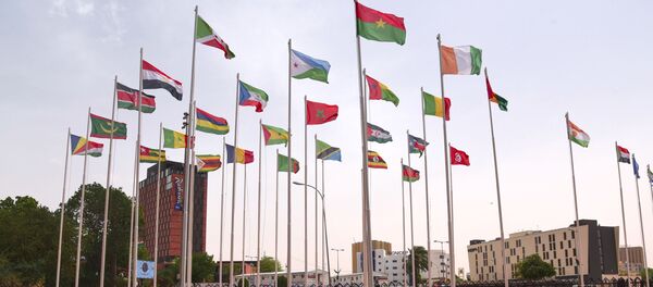 Delegates arrive at the Palais des Congres in Niamey - Sputnik Afrique