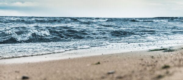 Bord de mer Bord de mer - Sputnik Afrique