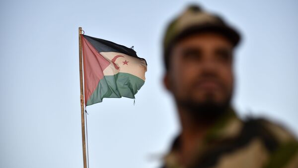 Un soldat du Front Polisario devant le drapeau sahraoui. - Sputnik Afrique