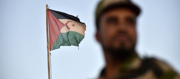 Un soldat du Front Polisario devant le drapeau sahraoui. - Sputnik Afrique