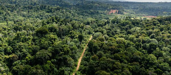 Guyane - Sputnik Afrique