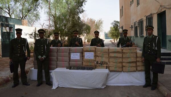 Saisie de 1174 kilogrammes de résine de cannabis à Nâama, Algérie - Sputnik Afrique