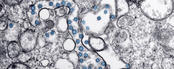 Coronavirus Covid-19 - Sputnik Afrique