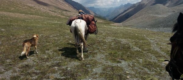 Ben le chien - Sputnik Afrique
