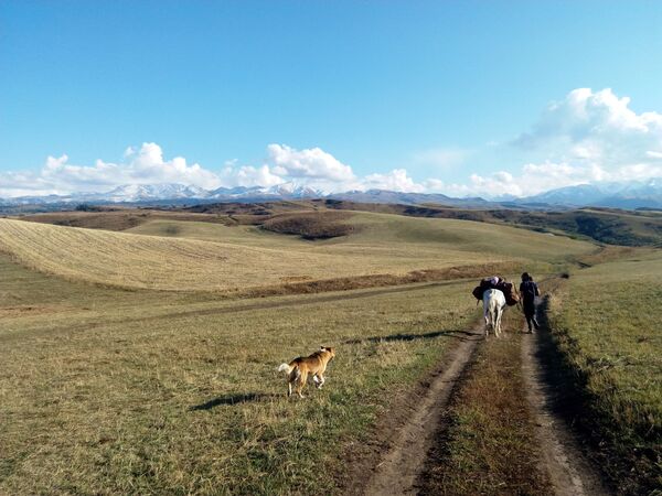 Cette rencontre entre une Française et un chien au Kirghizstan a bouleversé leur vie - photos - Sputnik Afrique
