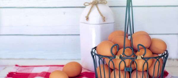 Des œufs  - Sputnik Afrique