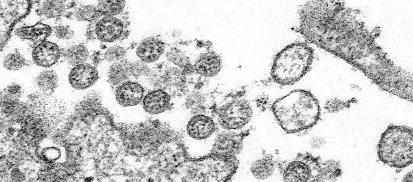 COVID-19 COVID-19 - Sputnik Afrique