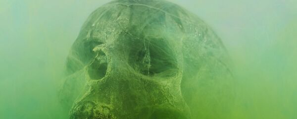 Squelette - Sputnik Afrique