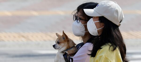 A woman wearing a mask carries a dog as she makes her way on a street amid the rise in confirmed cases of coronavirus disease (COVID-19) in Daegu, South Korea March 8, 2020 - Sputnik Afrique