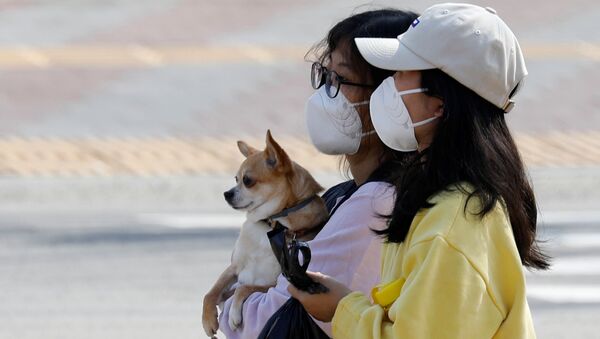 A woman wearing a mask carries a dog as she makes her way on a street amid the rise in confirmed cases of coronavirus disease (COVID-19) in Daegu, South Korea March 8, 2020 - Sputnik Afrique