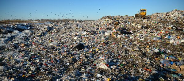 Un décharge  - Sputnik Afrique