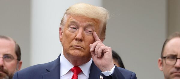 Président US Donald Trump - Sputnik Afrique