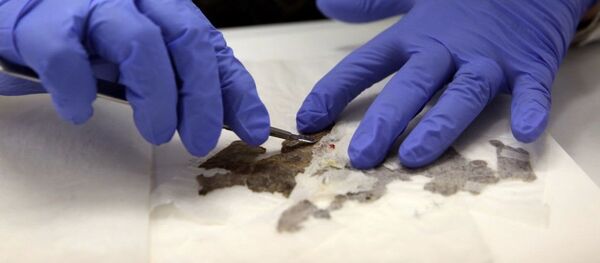 Manuscrits de la mer Morte - Sputnik Afrique