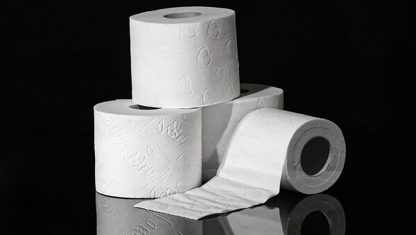 Un papier toilette - Sputnik Afrique