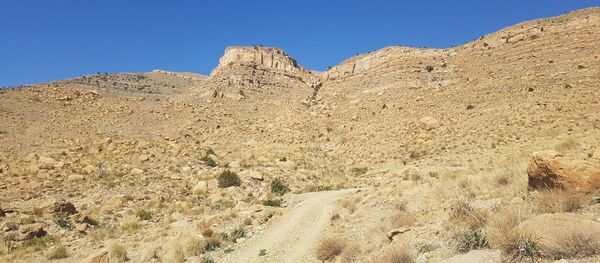 La piste vers Taguetiout (Algérie) - Sputnik Afrique