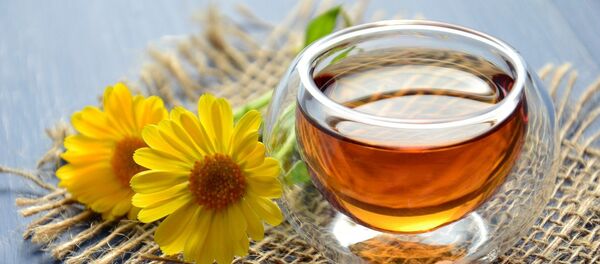 Une tisane - Sputnik Afrique