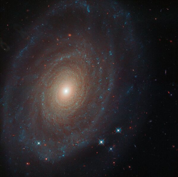 Le télescope Hubble a photographié la galaxie spirale NGC 691 située à 120 millions d’années lumière de la Terre. Cette galaxie a été découverte par le célèbre astronome Friedrich Herschel il y a plus de 200 ans. - Sputnik Afrique