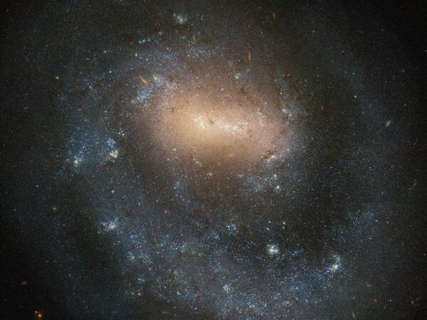 Galaxie spirale NGC 4618. - Sputnik Afrique