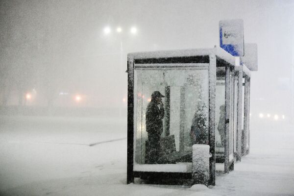 Habitants de la région de Moscou attendant leur bus pendant des chutes de neige. - Sputnik Afrique