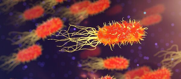 Une bactérie - Sputnik Afrique