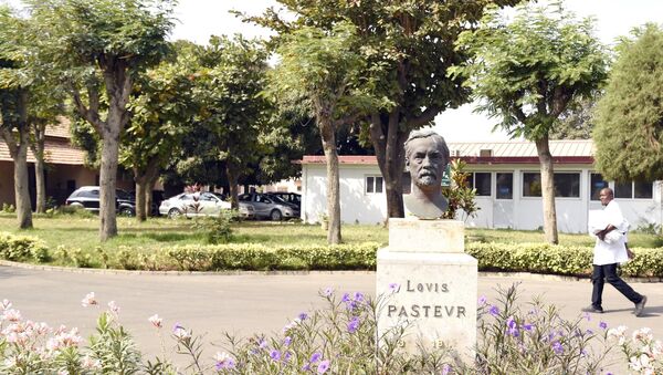 La cour de l'Institut Pasteur à Dakar - Sputnik Afrique