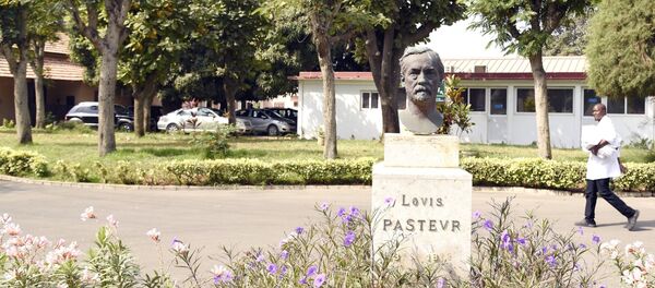 La cour de l'Institut Pasteur à Dakar - Sputnik Afrique