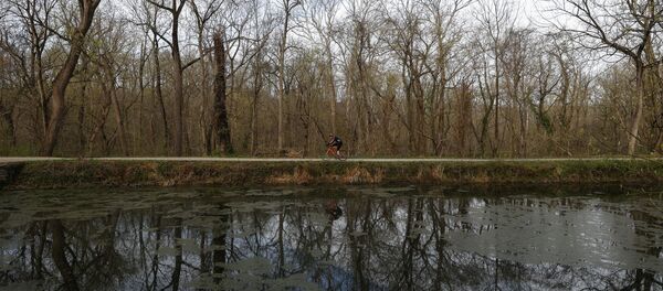 Maryland - Sputnik Afrique
