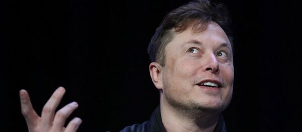 Elon Musk - Sputnik Afrique