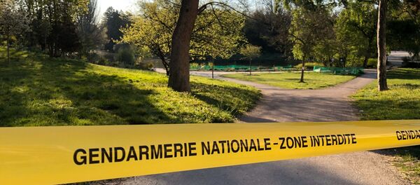 Promenade Bois de Vincennes et le lac de Saint-Mandé interdite - Sputnik Afrique
