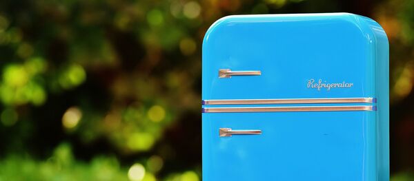 Un réfrigérateur Un réfrigérateur - Sputnik Afrique