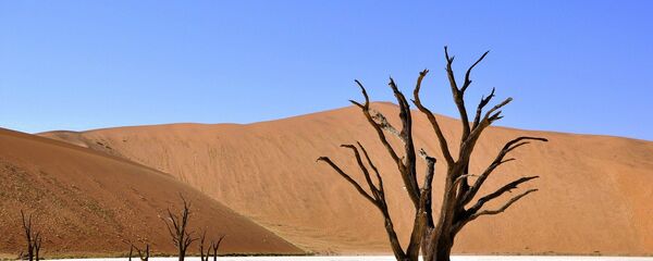 Désert en Afrique (Namibie) - Sputnik Afrique