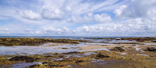 Noirmoutier  - Sputnik Afrique