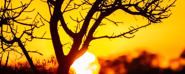 Coucher de soleil en Afrique du Sud Coucher de soleil en Afrique du Sud - Sputnik Afrique