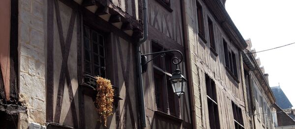 Dijon - Sputnik Afrique