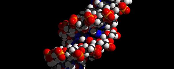 ADN - Sputnik Afrique