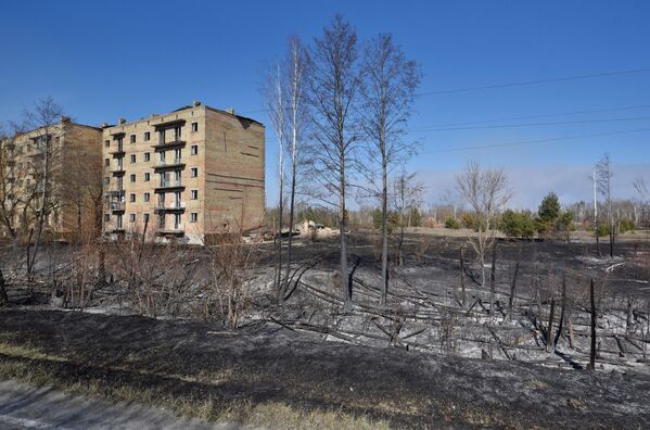 Feu de forêt à Tchernobyl: les flammes approchent de la centrale nucléaire

 - Sputnik Afrique